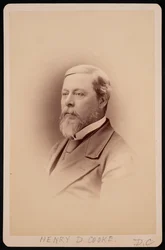 Portret Henry