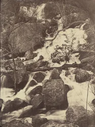 [Drzewa i wodospady], 1860-65.