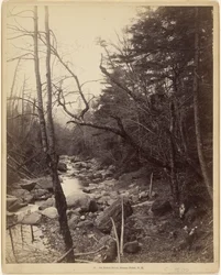 Nad rzeką Baker, Breezy Point, N.H.