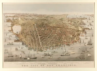 Miasto San Francisco - Ptak