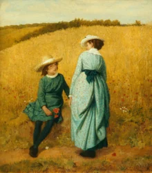 Pole maków