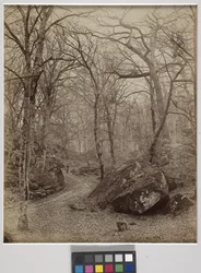 Fontainebleau, ok. 1870 r. (druk albumowy)