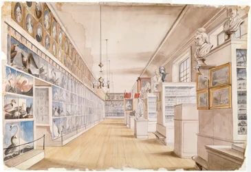 Pokój Długi, Wnętrze Pokoju Frontowego w Peales Museum, 1822 (wc nad grafitem na papierze)