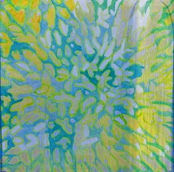 Acrapora, 2000 (olej na zaprawie)