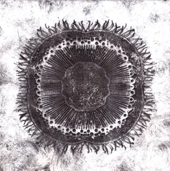 Plant Cells, 2019 (trawienie suchej temperatury)