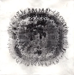 Plant Cells, 2019 (trawienie suchej temperatury)