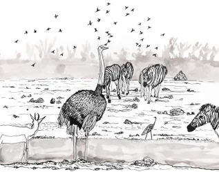 Safari 2, 2018 (tusz i akwarela)