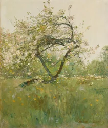 Kwiaty brzoskwini, Villiers-le-Bel
