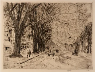 Easthampton Elms w maju