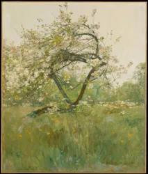 Kwiaty brzoskwini — Villiers-le-Bel