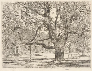 Kasztanowiec, Easthampton