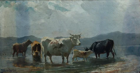 Bez tytułu (olej na płótnie)