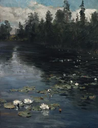 Lilie wodne (olej na płótnie)