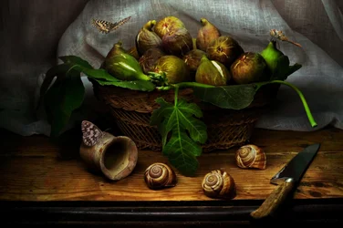 Rustykalna martwa natura z figami