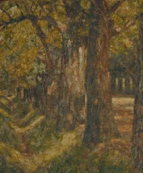 Belvedere Allee w środku lata