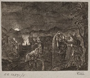 Ekologia VIII