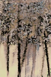 Refleksje z lasu Moody