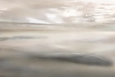 Łabędzi śpiew ku mgle