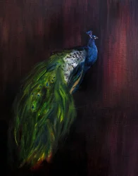 Królewski portret pawia