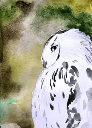 Watercolor Snowy Owl