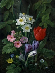 Kwiaty ogrodowe wiosną (w tym stokrotki, tulipany, żonkile, krokusy i pierwiosnki). Obraz autorstwa Christine Marie Lovmand (1803-1872) Kolekcja prywatna.