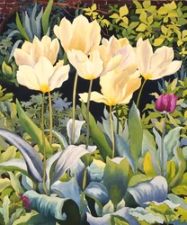 Jasne tulipany (akwarela na papierze)