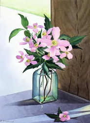 Martwa natura Pink Clematis (akwarela na papierze)