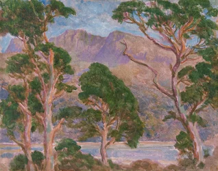 „Cader Idris”, 1893-1934