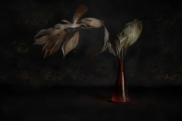 Ciemna botaniczna martwa natura