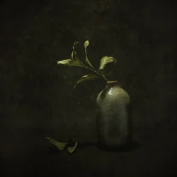 Nastrojowa botaniczna martwa natura