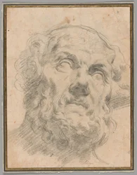 Głowa starca, prawdopodobnie Seneca