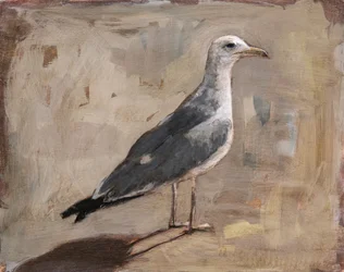 Portret stojącej mewy