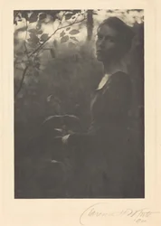 Krawędź lasu, wieczór, 1900 r. (zdjęcie)