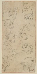 Badanie głów zwierząt.
