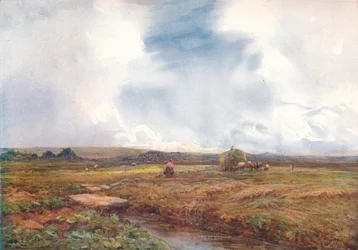 Hayfield, 1872-1906, 1906.