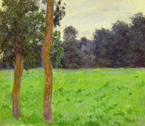 Dwa drzewa na prerii, 1886