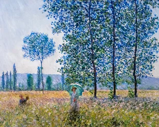 Pola wiosną