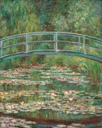 Staw z liliami wodnymi