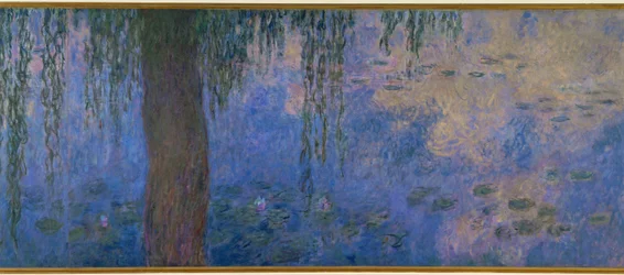 Les Nympheas: le matin aux saules (olej na płótnie)
