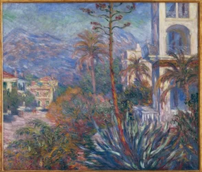 Wille Bordighera