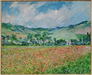 Mohnfeld