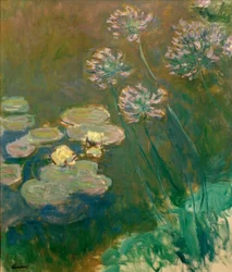 Nymphéas et Agapanthes (lilie wodne i agapanty)