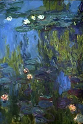 Nenufary, 1914-17