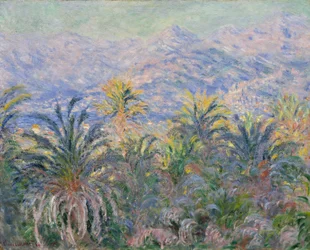 Palmy w Bordighera