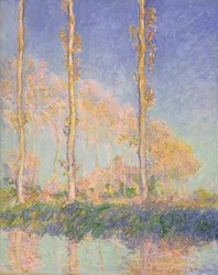 Topole