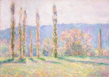 Topole w Giverny