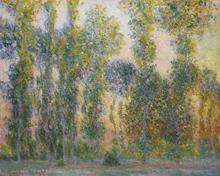 Topole w Giverny, 1887