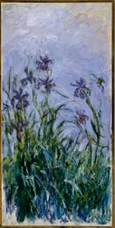 Purpurowe irysy, 1914-17