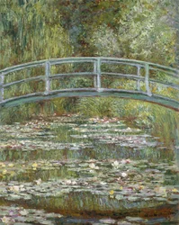 Staw lilii wodnych