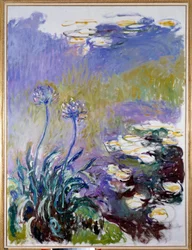 Agapant